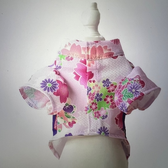 Kimono for dogs - Picture 4 of 5